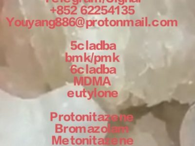 CAS 125541-22-2 1 -Boc-4-(Phenylamino)piperidine