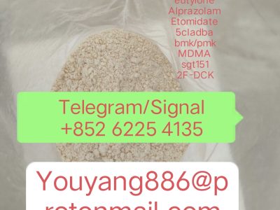 CAS 28578–16–7 PMK ethyl glycidate NEW PMK POWDER