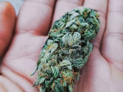 Telegram:(@arven_knox) Buy Coke,Weed,MDMA,Meth,Cannabis,Cocaine in Athens