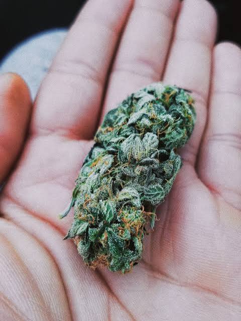 Telegram:(@arven_knox) Buy Coke,Weed,MDMA,Meth,Cannabis,Cocaine in Novosibirsk