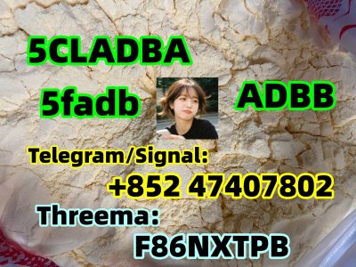 5cladba raw material 5CL-ADB-A precursor raw 5cladba 5f adb