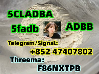 5cladba-precursor-raw-material-5cl-adb-a-raw-material-powder-and-liquid