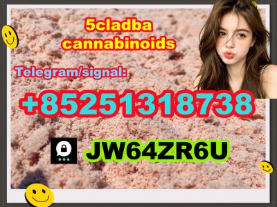 5CL-ADBA Strongest Research Chemical 5cl Precursor 5cladba