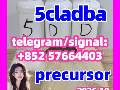 14.10.2026: 5CLADBA 5F-ADB high