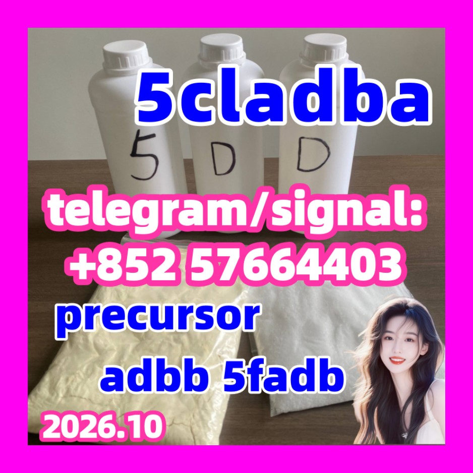 5 c l a d b a at ₹ 2800/piece