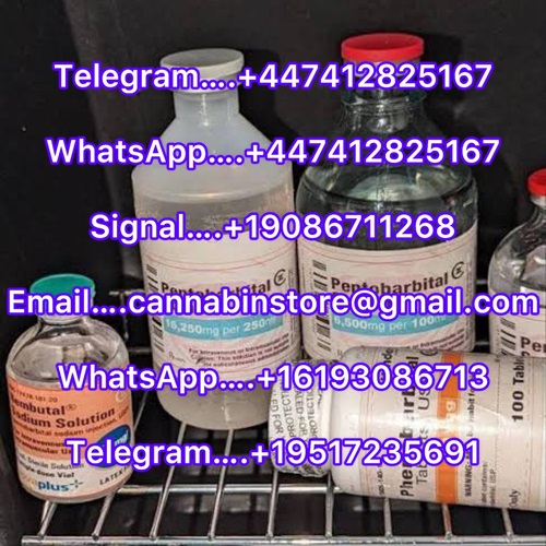 PENTOBARBITAL SODIUM AND PHENYTOIN SODIUM EUTHANASIA SOLUTION, NEMBUTAL POWDER/LIQUID, 6CLADBA, K2 LIQUID AND POWDER. Telegram….+447412825167 WhatsApp….+4474128