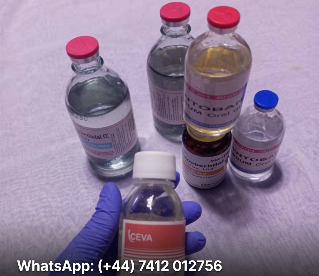 WhatsApp: (+44) 7412 012756 Buy Nembutal Online USA - Buy Nembutal Pentobarbital Online