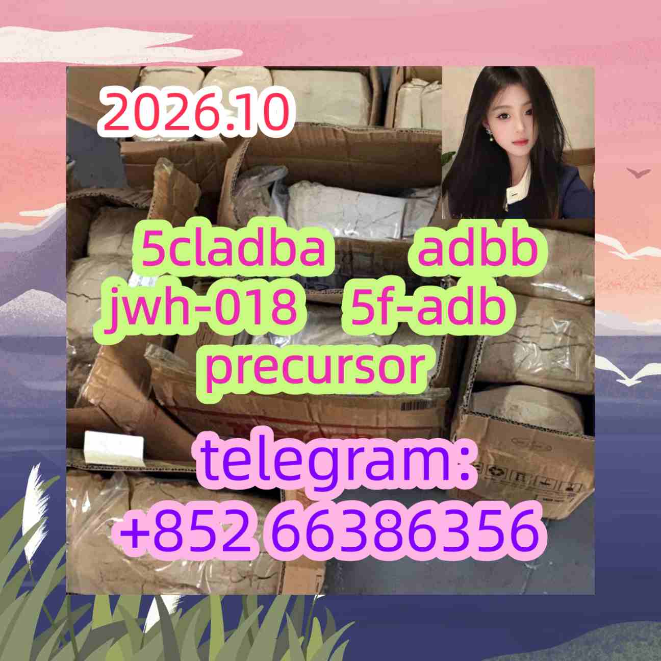 5cladba adbb jwh-018 5f-adb precursor    人的特特让他
