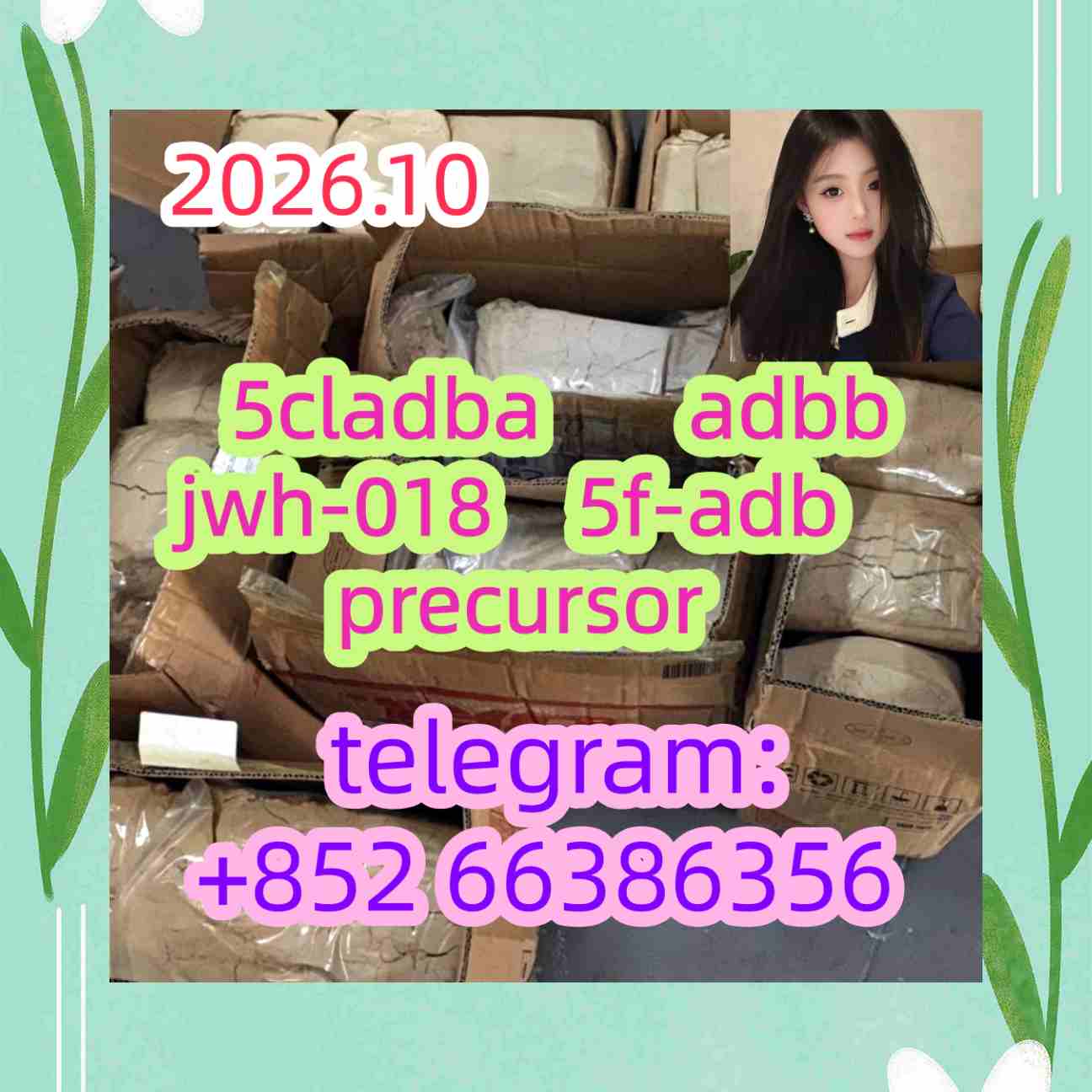 5cladba adbb jwh-018 5f-adb precursor    的撒额的 数字电视
